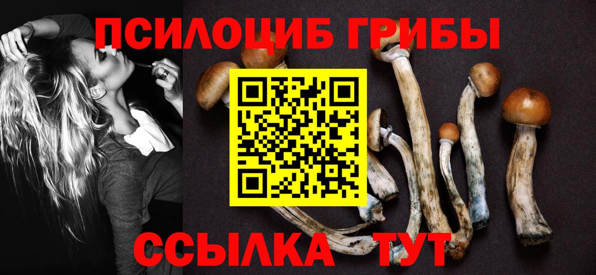 Галлюциногенные грибы Magic Shrooms  Вход с VPN  купить  цена  Гурьевск 